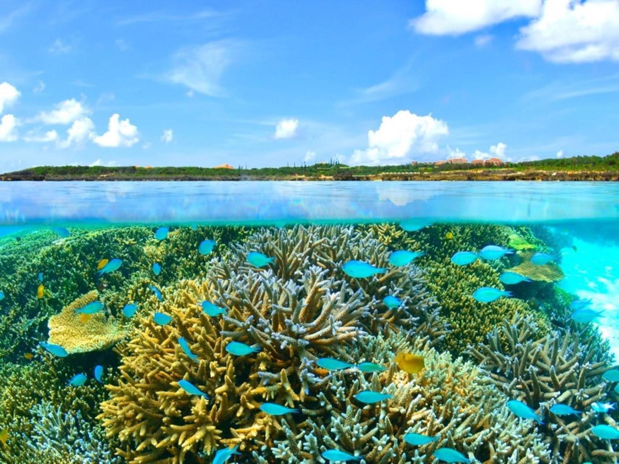 Allamanda Imgya Coral Village Miyakojima  Exteriör bild